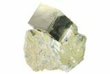 Natural Pyrite Cube In Rock - Navajun, Spain #144043-1